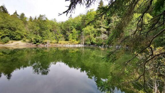 Der Silbersee Oberhalb Von Roth Und Am Fusse Des Rhon Park Hotels